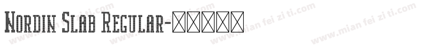 Nordin Slab Regular字体转换